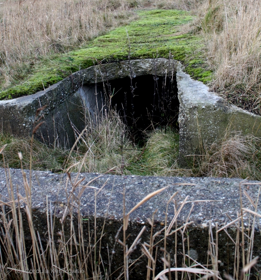 Bunkeranlage, heute mitten im Naturschutzgebiet Nieuwpoort, Dez. 2013