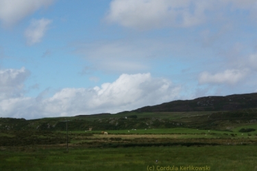 Wiesen und sanfte Hügel auf Islay